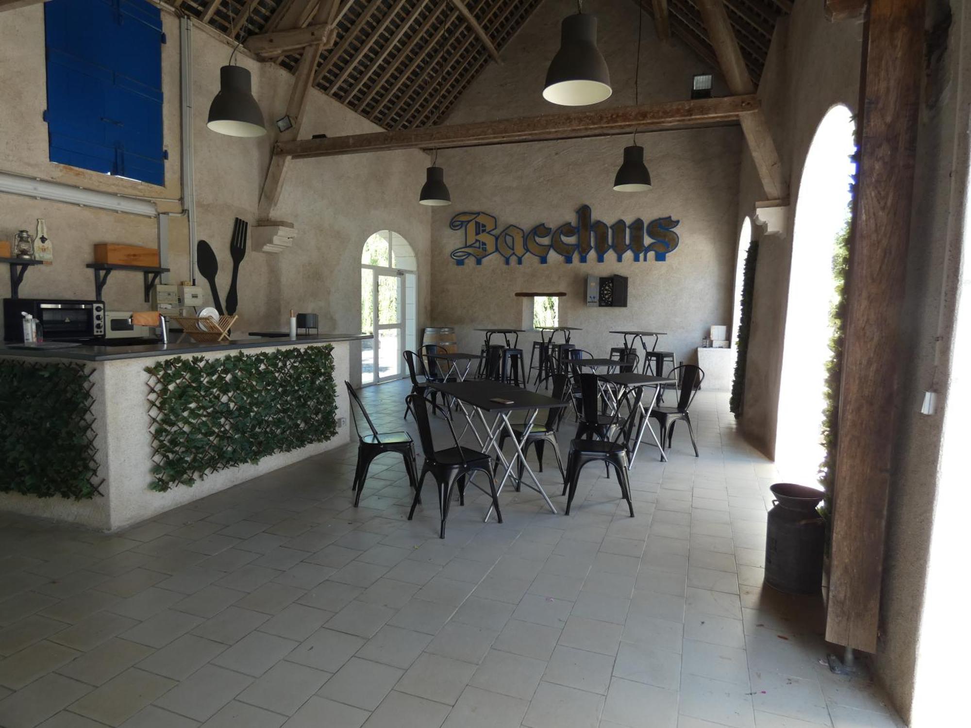 Moulin De Bacchus - Chateaux De La Loire Chançay Εξωτερικό φωτογραφία