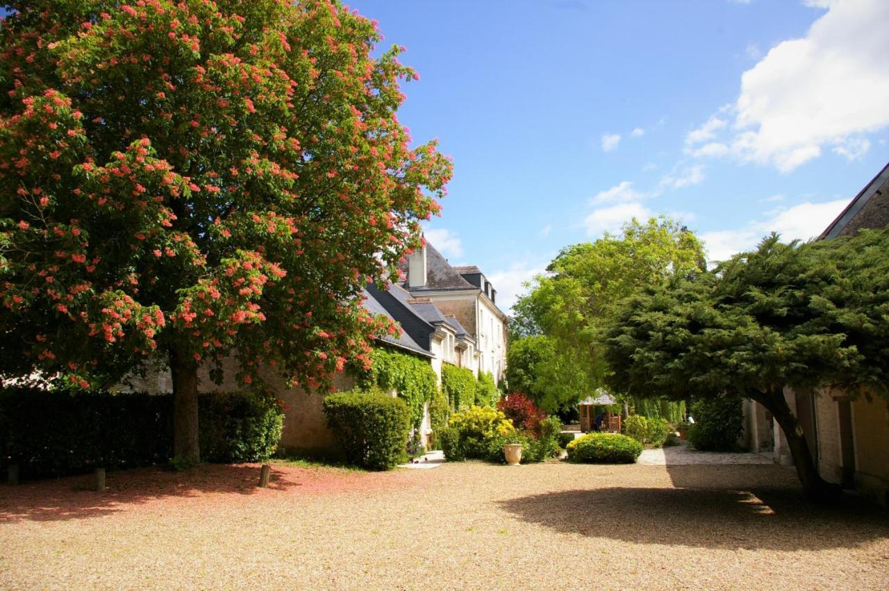 Moulin De Bacchus - Chateaux De La Loire Chançay Εξωτερικό φωτογραφία